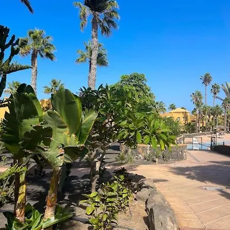 Surf Oasi Papagayo Pineapple By Rentalfue Apartment Corralejo